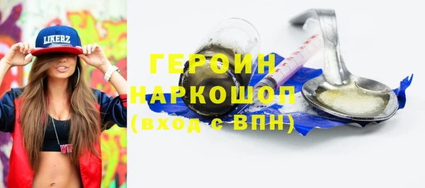 дживик Няндома