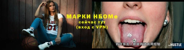 дживик Няндома