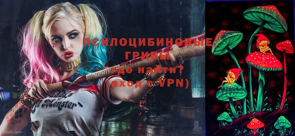 герыч Новозыбков