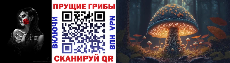 Псилоцибиновые грибы GOLDEN TEACHER купить цена Павловская
